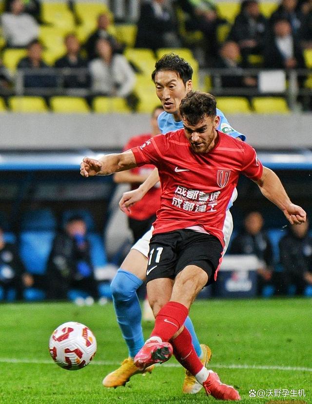 成都蓉城足球队队员